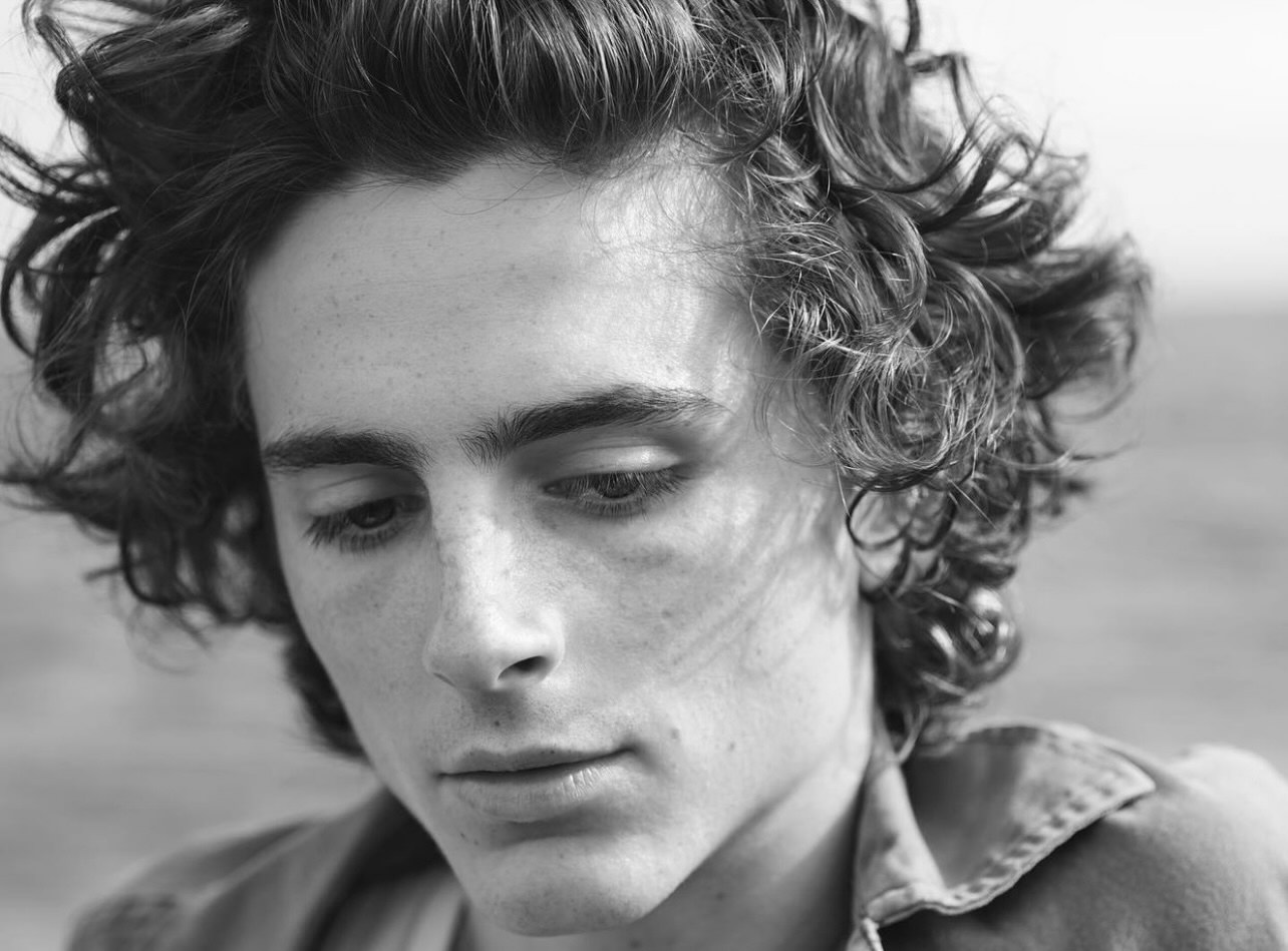 Γιατί ο Timothée Chalamet είναι το νέο sensation boy