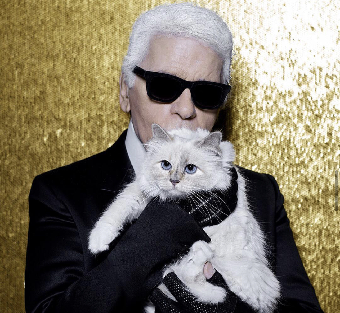 Χιλιάδες αντικείμενα του Karl Lagerfeld δημοπρατούνται στο Παρίσι