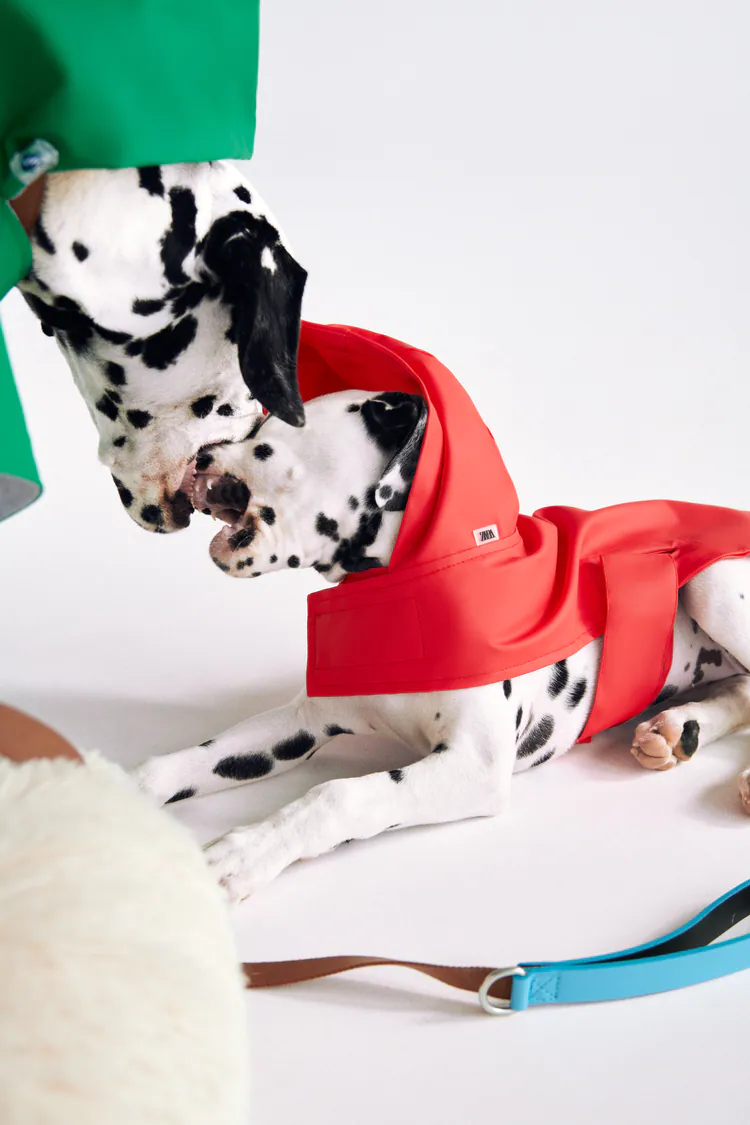 H H&M και τα Zara φέρνουν τις πιο cool pet συλλογές