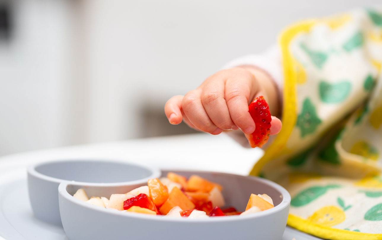 Baby Led Weaning