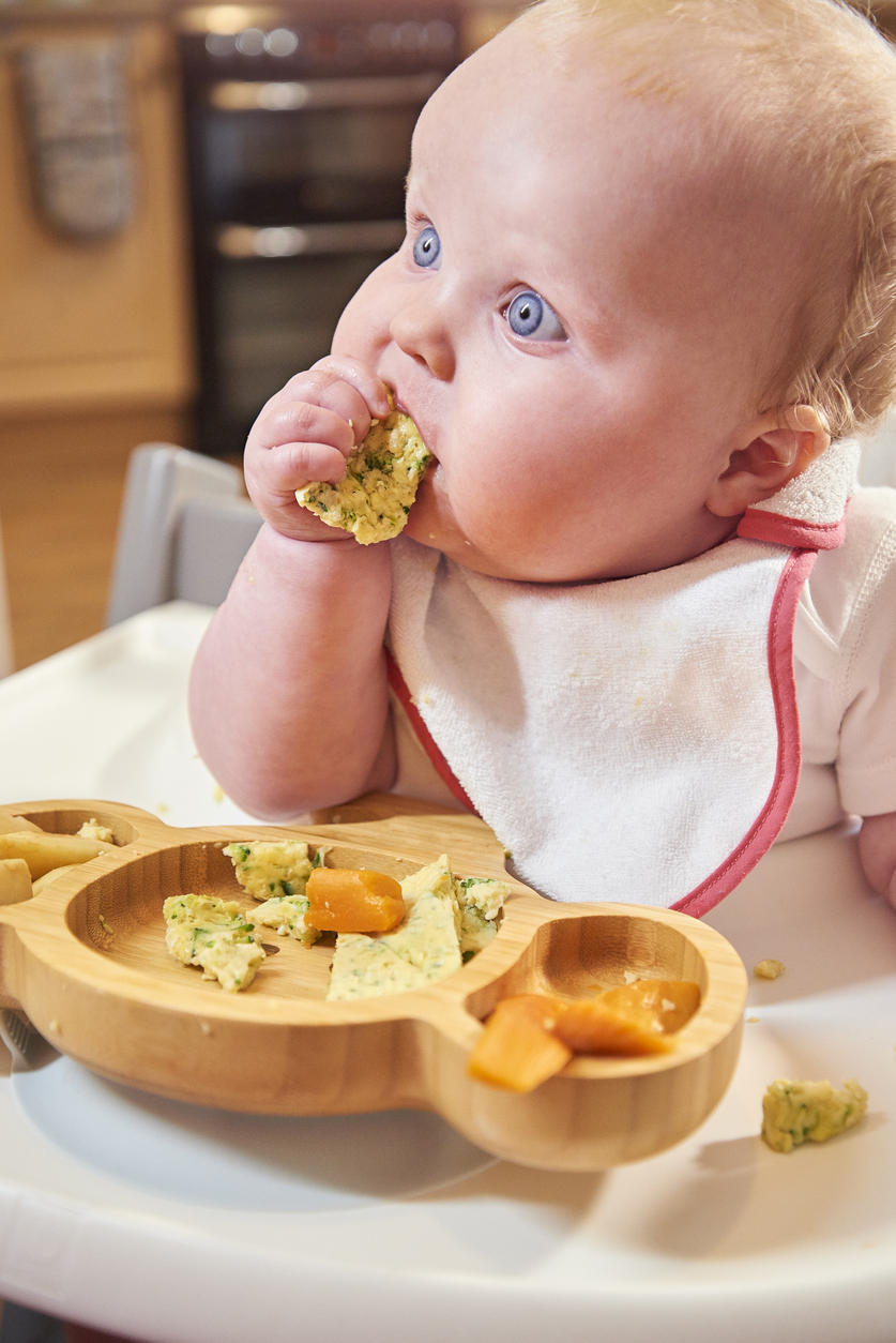 Baby Led Weaning