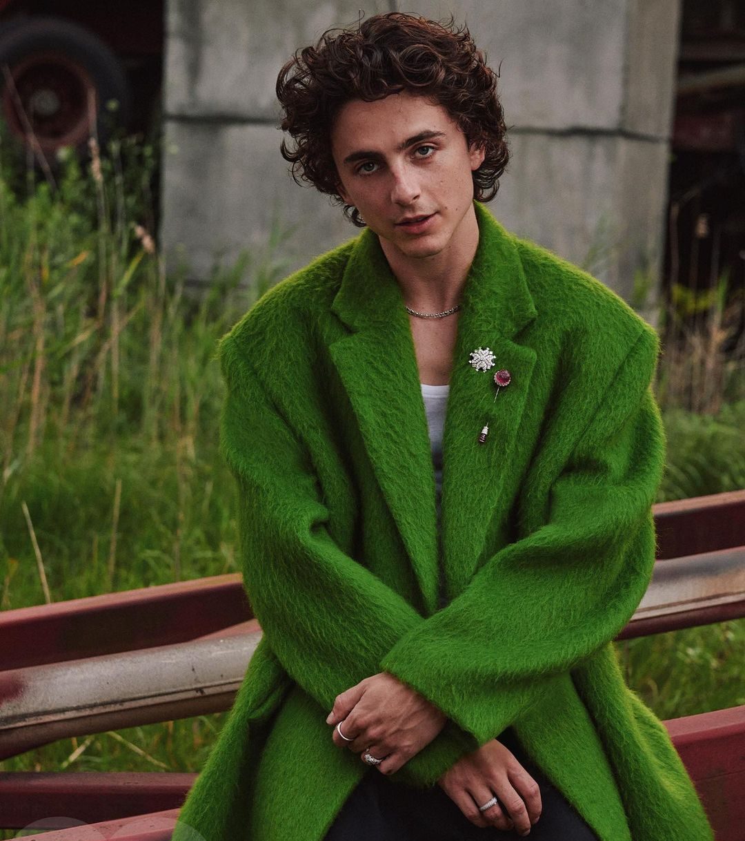 Timothée Chalamet: Θέλει τον Austin Butler να υποδυθεί τον Elvis Presley στην ταινία που πρωταγωνιστεί ως Bob Dylan